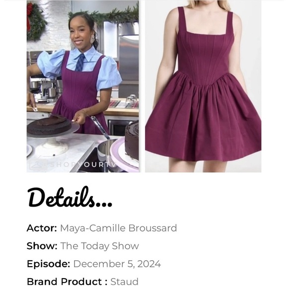 STAUD Landscape Corset Bodice Fit & Flare Mini Dress in Syrah Burgundy size 10 - Picture 5 of 16